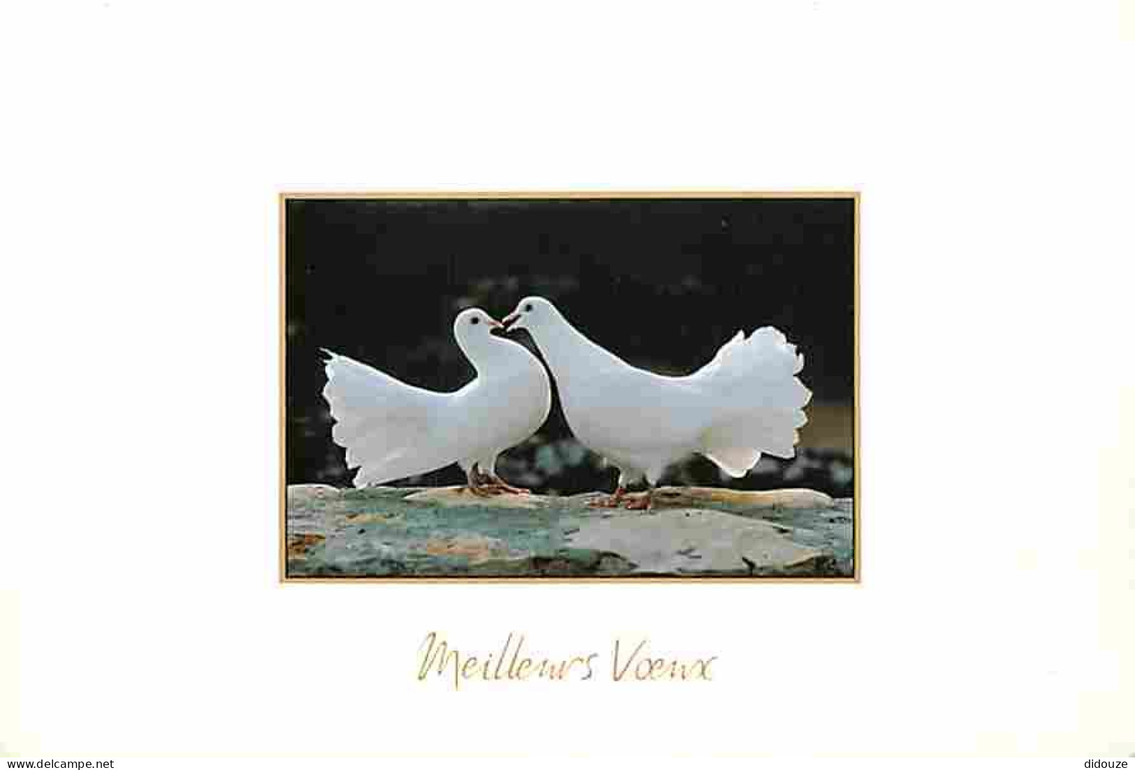 Animaux - Oiseaux - Couple De Colombes - Carte Neuve - CPM - Voir Scans Recto-Verso - Birds