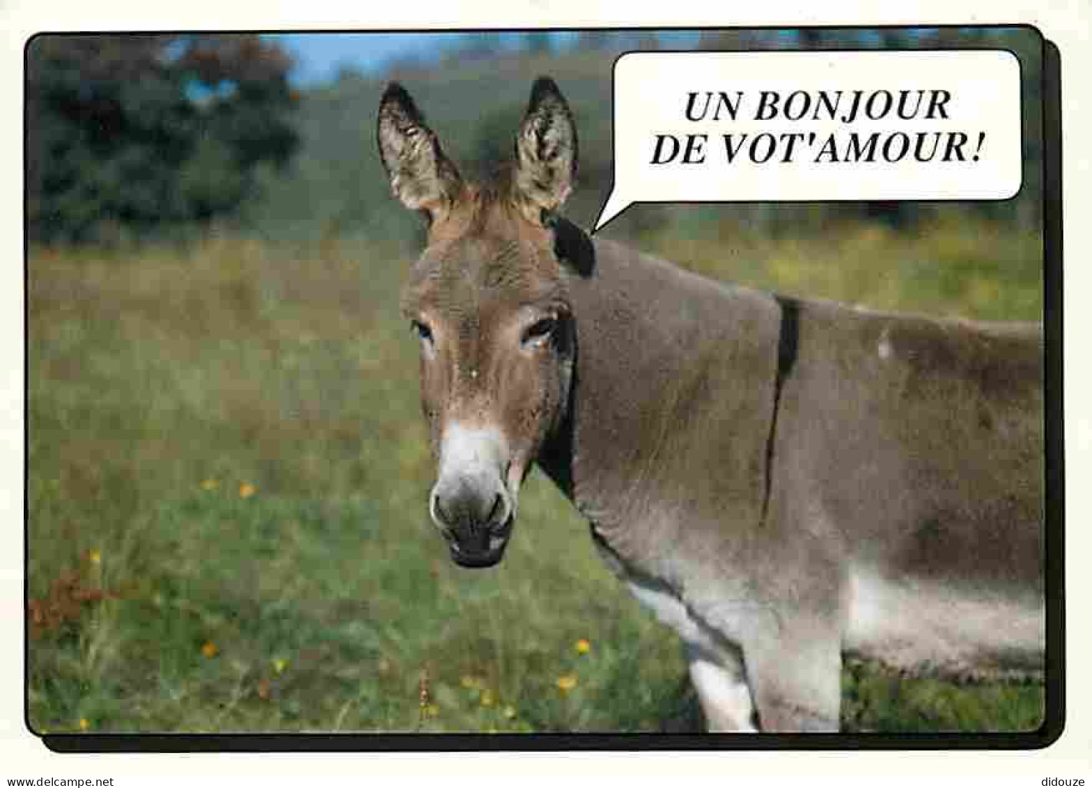 Animaux - Anes - Carte Humoristique - Carte Neuve - CPM - Voir Scans Recto-Verso - Anes