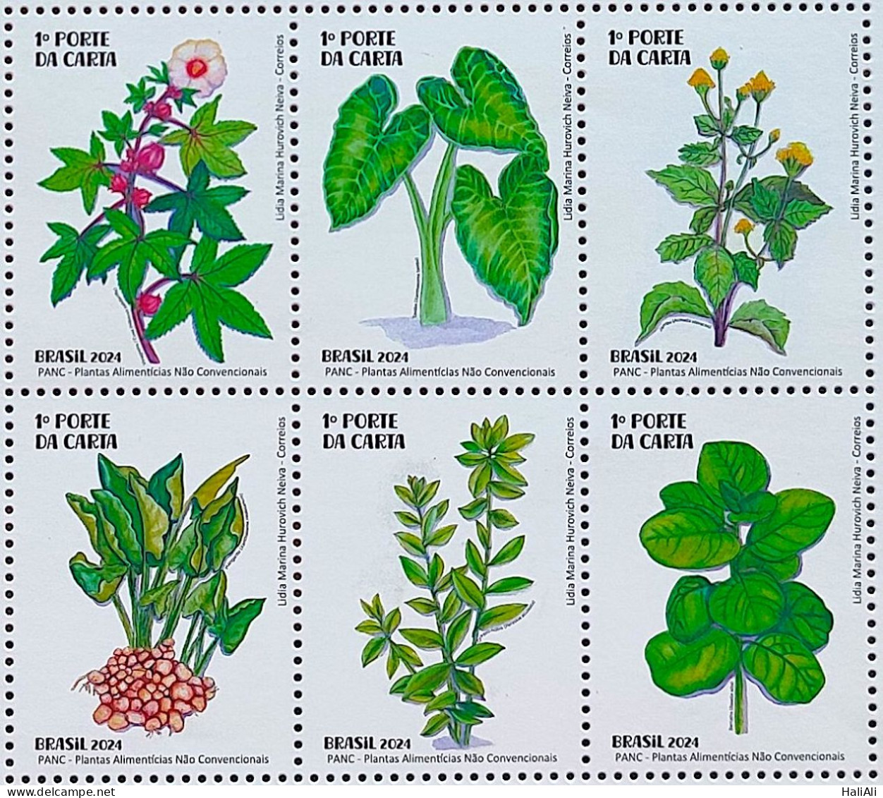 C 4148 Brazil Stamp Food Plants PANC Gastronomy 2024 Complete Series - Ongebruikt