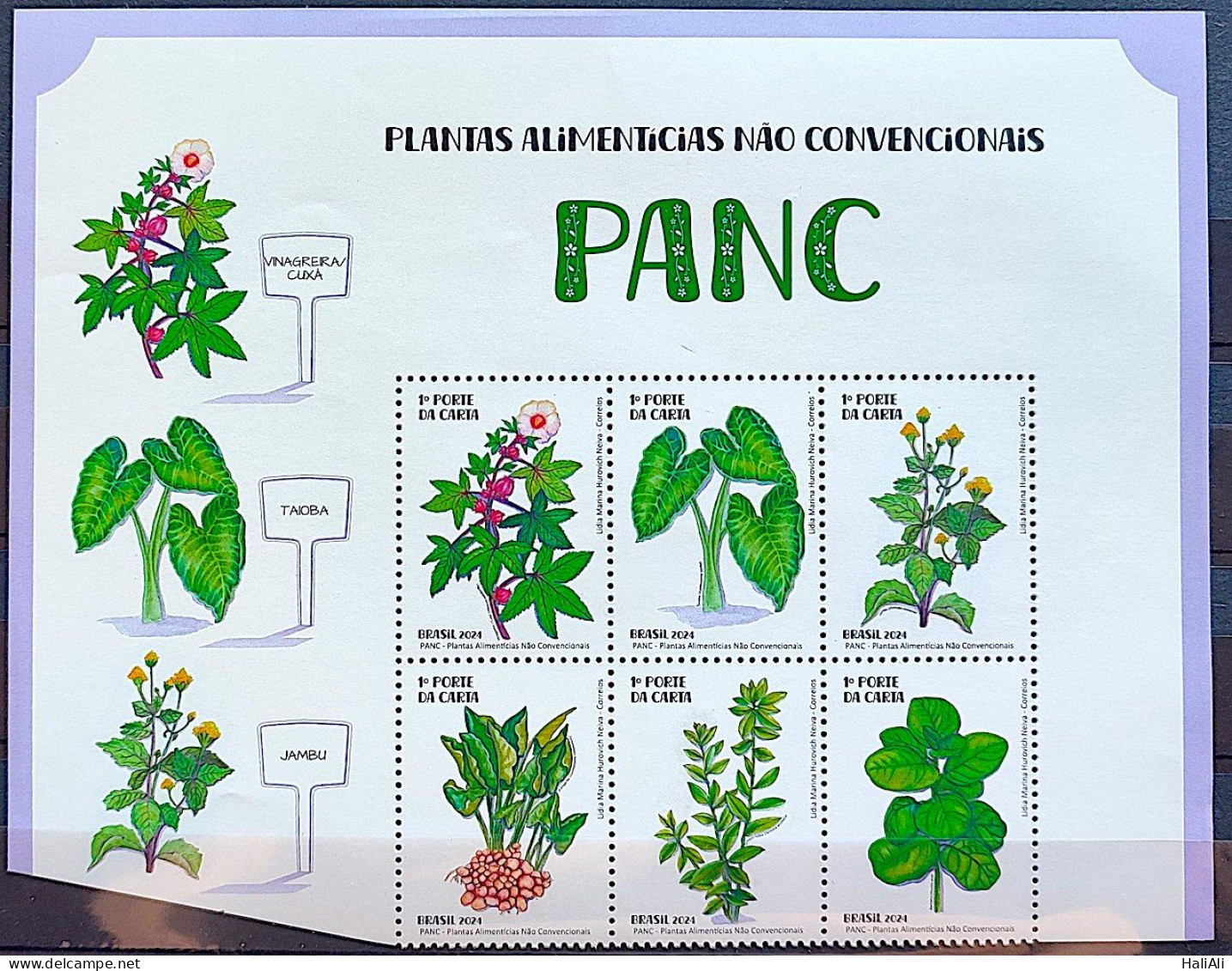 C 4148 Brazil Stamp Food Plants PANC Gastronomy 2024 Vignette PANC - Unused Stamps