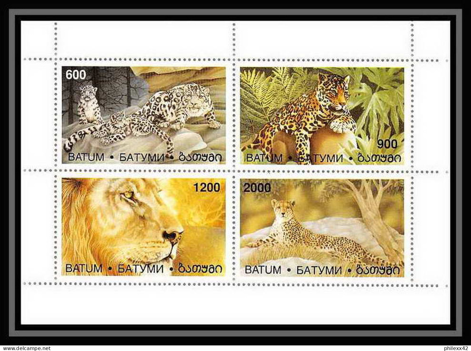579 MNH ** Batum Géorgie Animaux Animals Tigre Tiger Lion Panthere Panthera - Félins