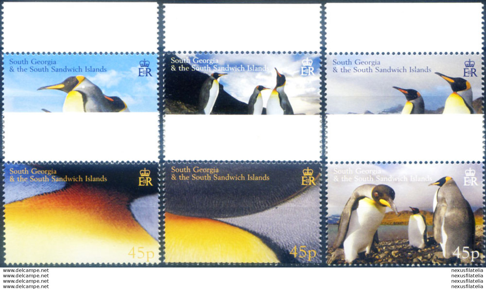 South Georgia. Fauna. Pinguini 2005. - Islas Malvinas