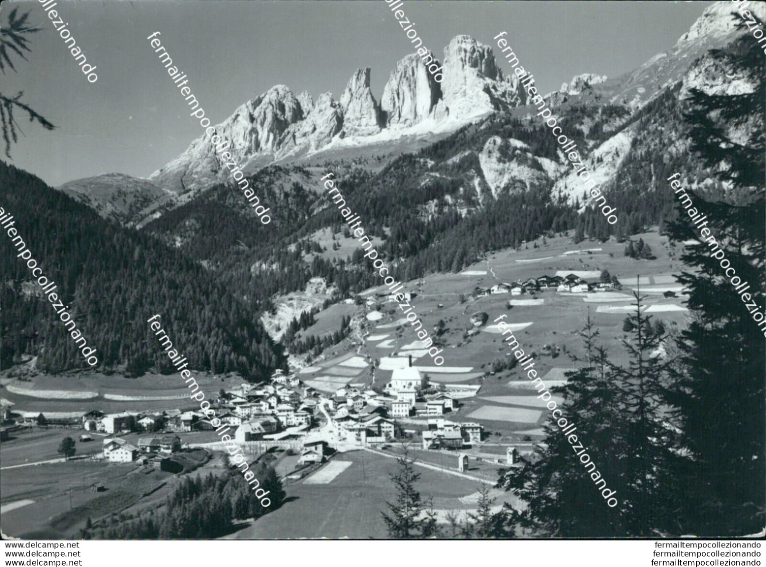 M705 Cartolina Val Di Fassa Campitello Gruppo Del Sassolungo Provincia Di Trento - Trento