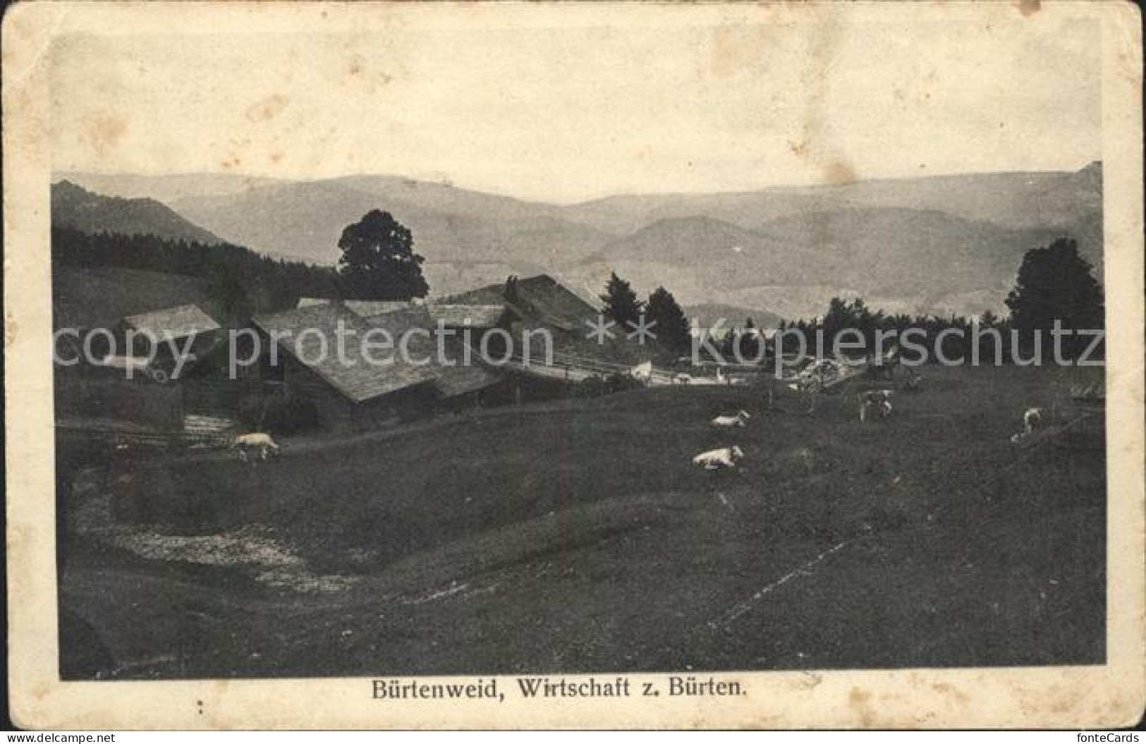 11631882 Buertenweid Wirtschaft Zum Buerten Viehweide Panorama Buertenweid - Other & Unclassified