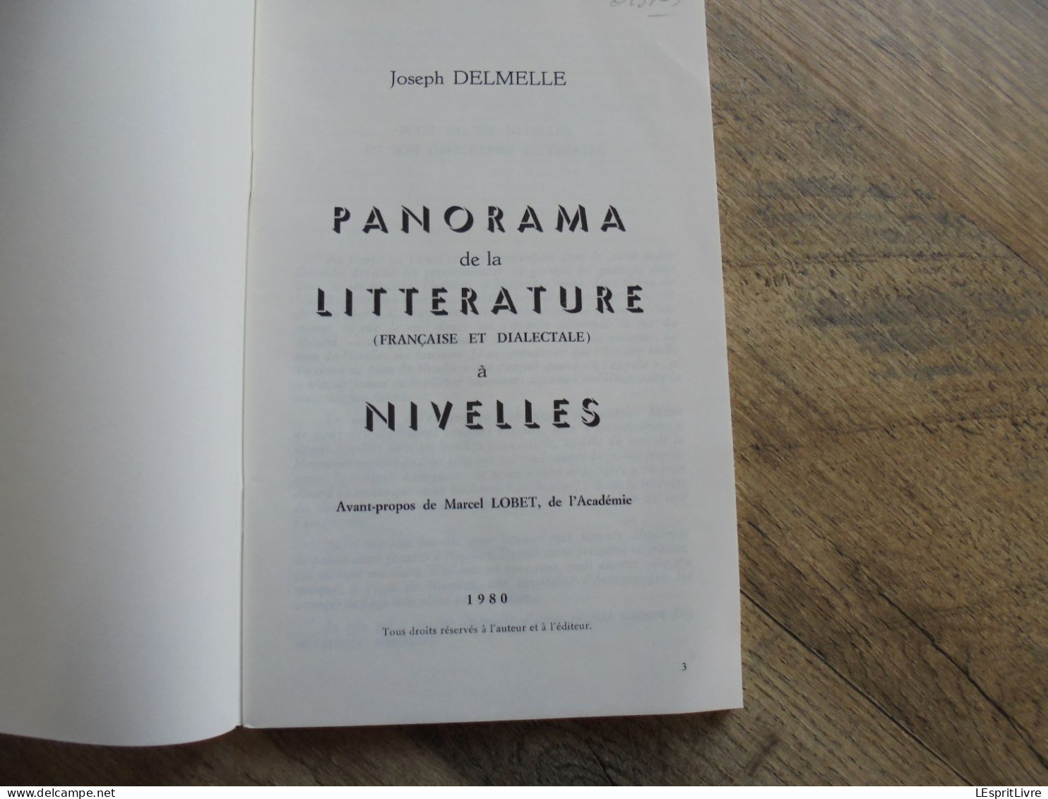 PANORAMA DE LA LITTERATURE FRANCAISE ET DIALECTALE à NIVELLES J Delmelle Régionalisme Brabant Wallon - Belgique