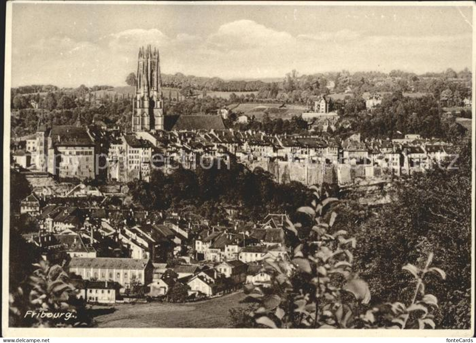 11631703 Fribourg FR Vue Sur La Vielle Ville Et Cathedral De Saint Nicolas Fribo - Autres & Non Classés