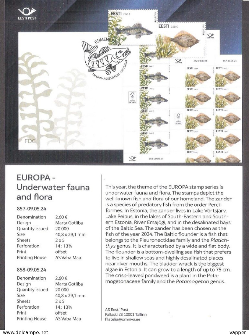 Europa – Underwater Fauna Fish And Flora 2024 Estonia Stamps Presemtation Card (eng) Mi 1105-6 - 2024