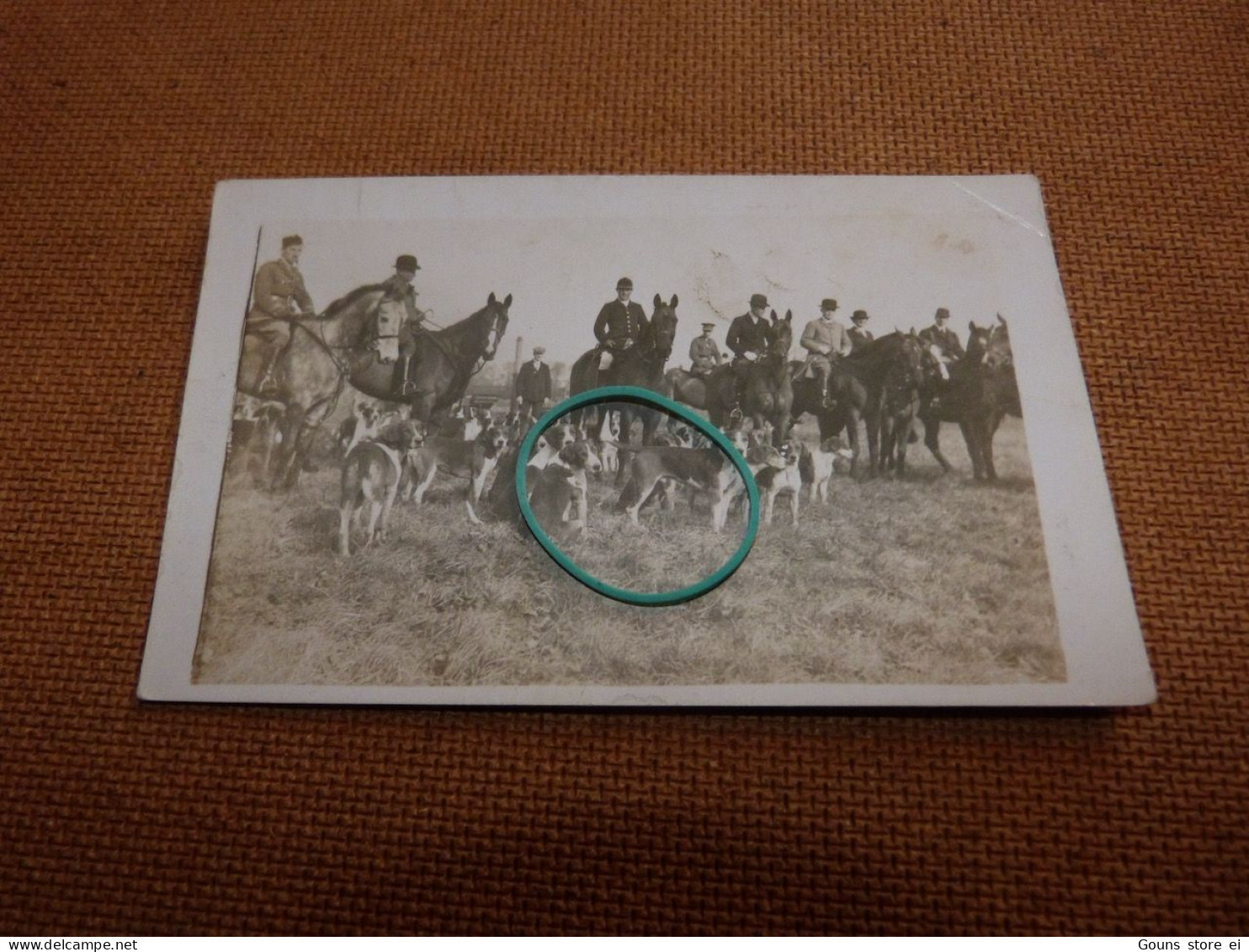 BC29-18 Carte Photo Chasse à Courre Chevaux Et Chiens Cheval Chien - Jagd