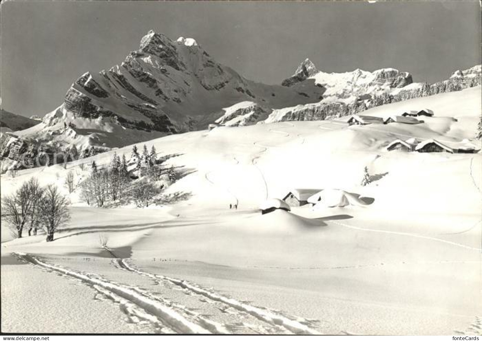 11631630 Braunwald GL Skigebiet Der Braunwaldalp Mit Ortstock Glarner Alpen Brau - Altri & Non Classificati