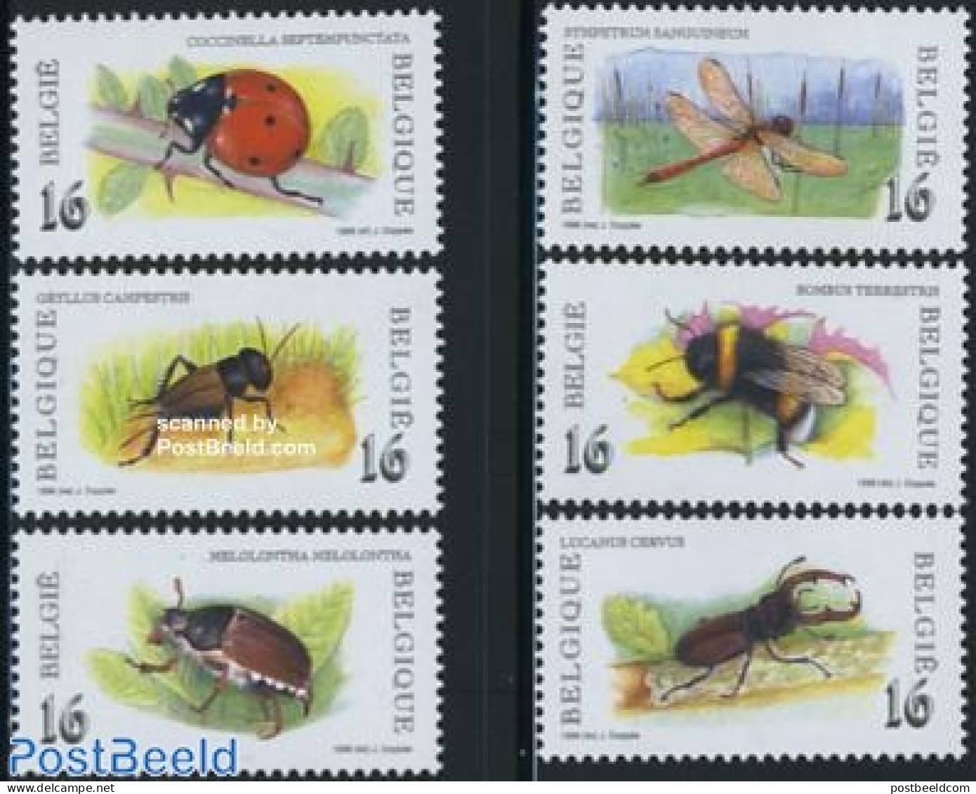 Belgium 1996 Insects 6v, Mint NH, Nature - Insects - Neufs