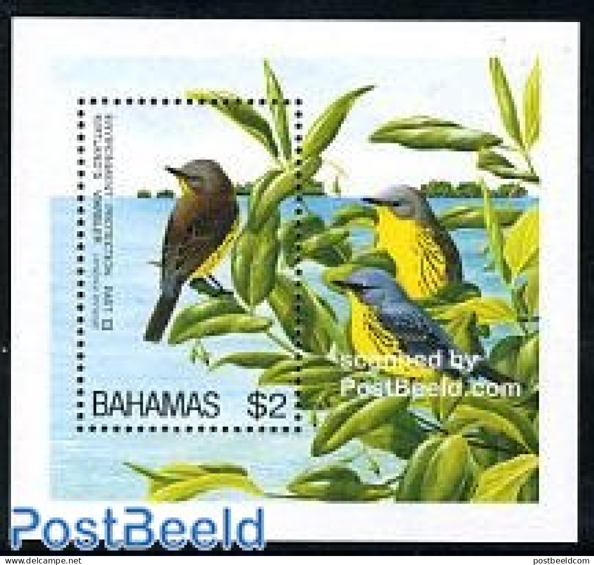 Bahamas 1995 Birds S/s, Mint NH, Nature - Birds - Sonstige & Ohne Zuordnung