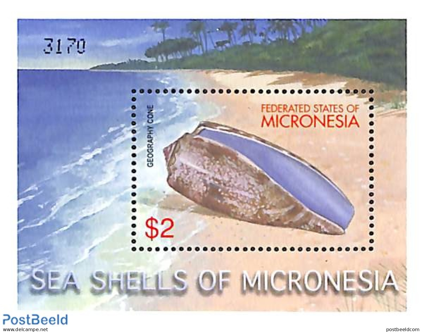 Micronesia 2001 Geography Cone S/s, Mint NH, Nature - Shells & Crustaceans - Maritiem Leven