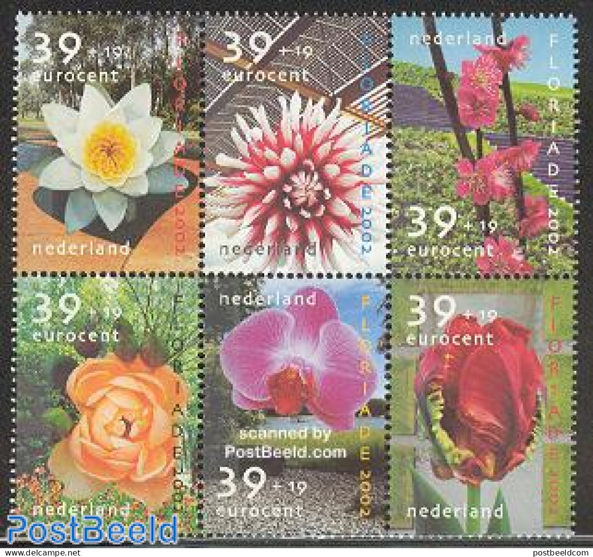 Netherlands 2002 Floriade 6v [++], Mint NH, Nature - Various - Flowers & Plants - Scented Stamps - Ungebraucht
