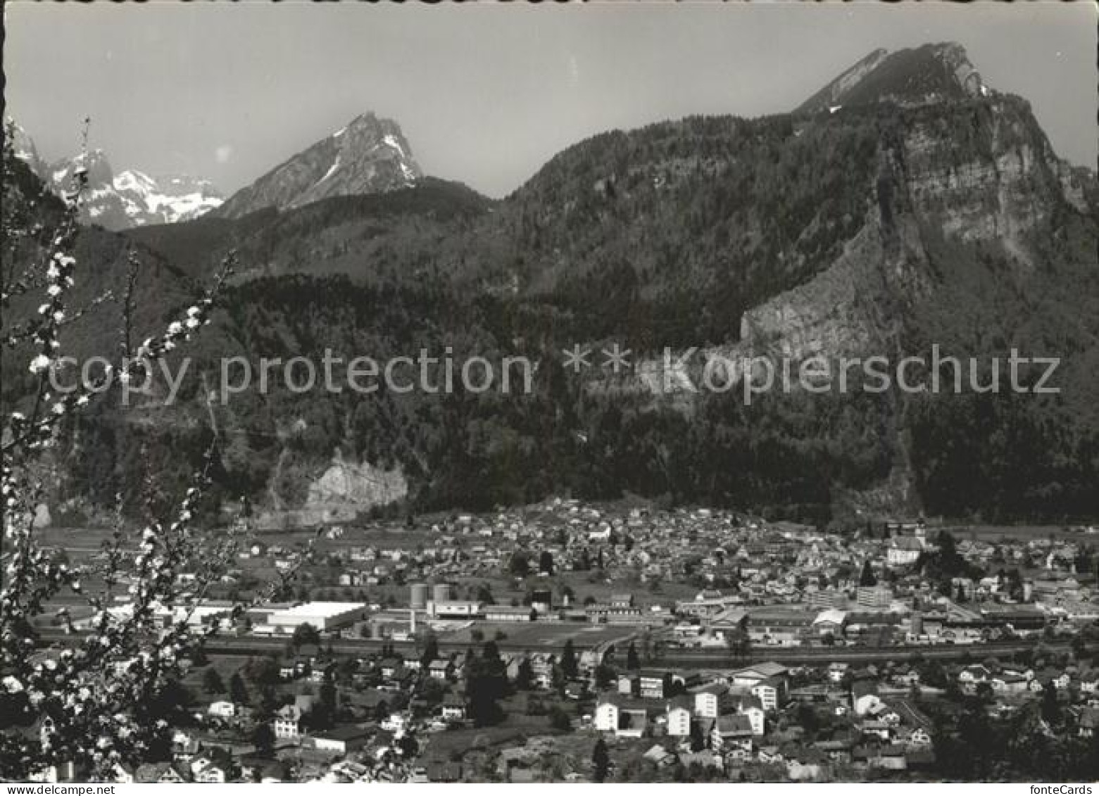 11631553 Naefels Panorama Mit Bruennelistock Baumbluete Naefels - Sonstige & Ohne Zuordnung