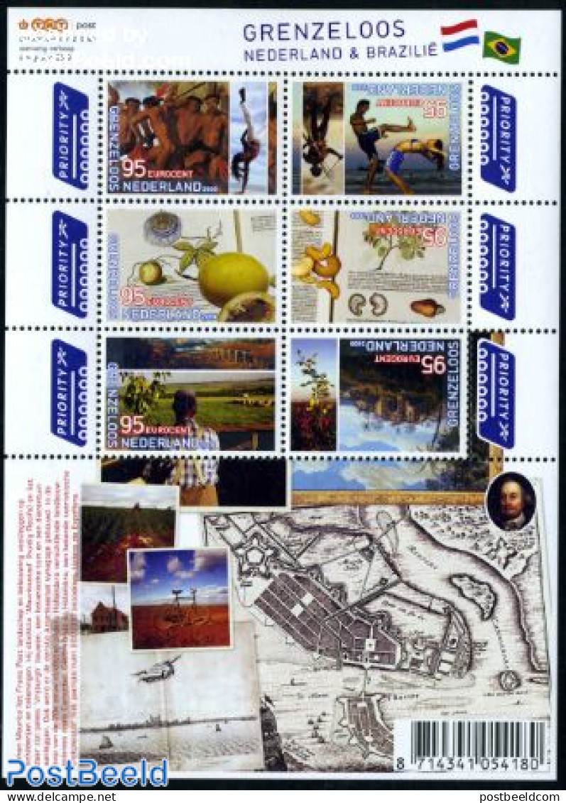 Netherlands 2009 Netherlands-Brazil S/s (map On Border), Mint NH, Various - Maps - Art - Paintings - Ungebraucht