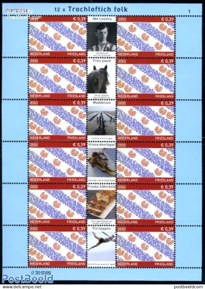 Netherlands 2002 Friesland M/s, Mint NH, Health - History - Nature - Sport - Food & Drink - Flags - Horses - Football .. - Nuevos