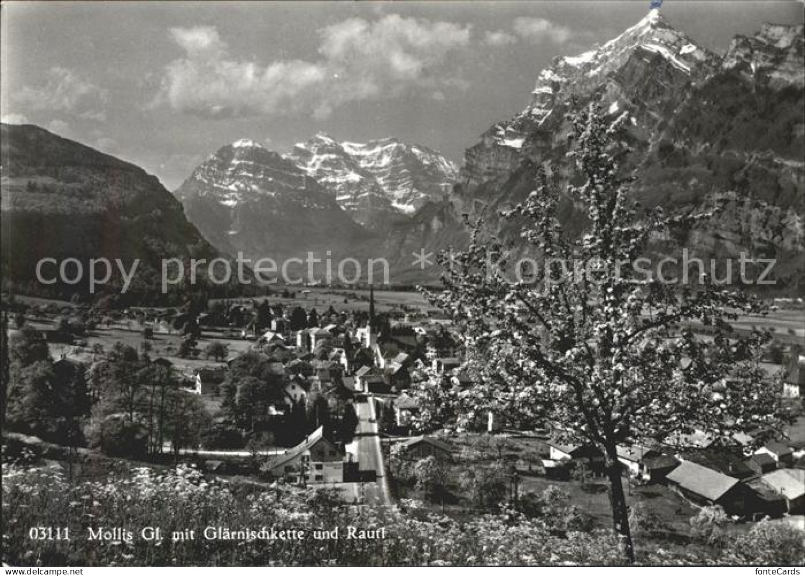 11631513 Mollis Gesamtansicht Mit Glaernischkette Und Rauti Alpenpanorama Baumbl - Autres & Non Classés