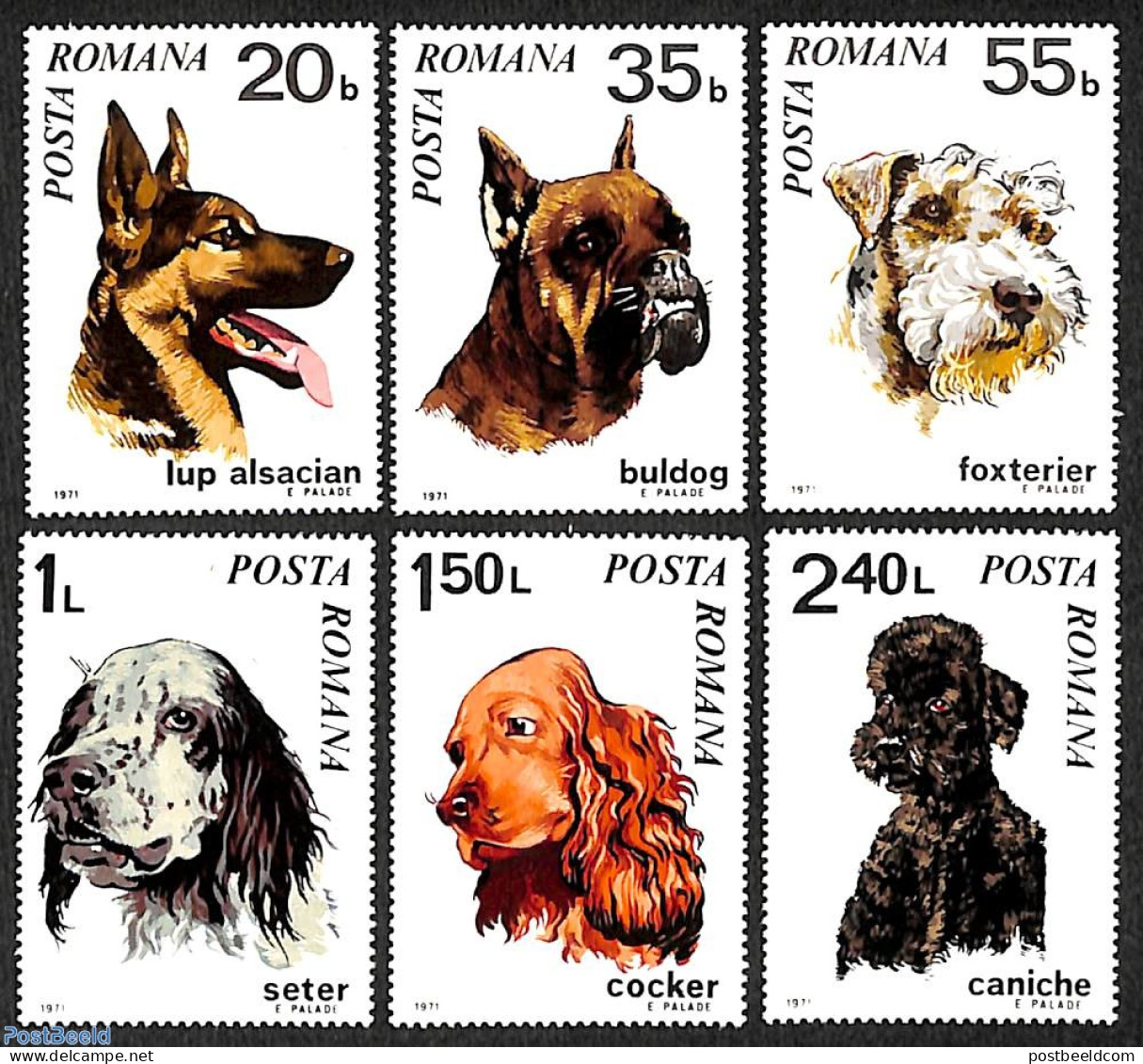 Romania 1971 Dogs 6v, Mint NH, Nature - Dogs - Nuovi