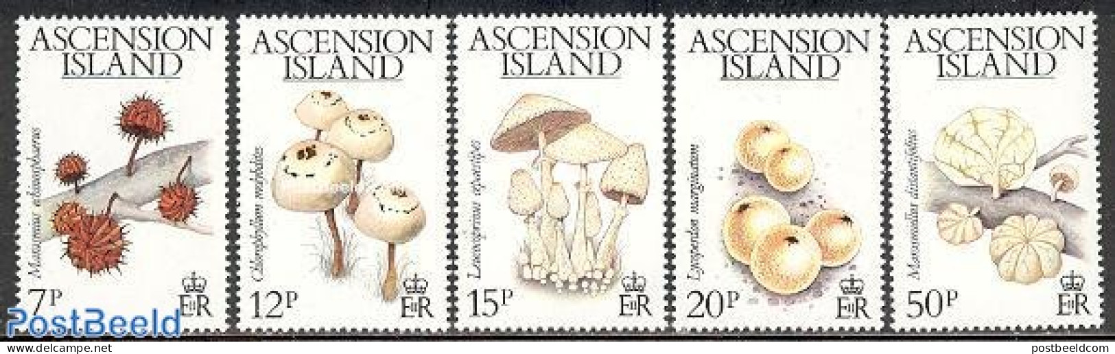 Ascension 1983 Mushrooms 5v, Mint NH, Nature - Mushrooms - Champignons
