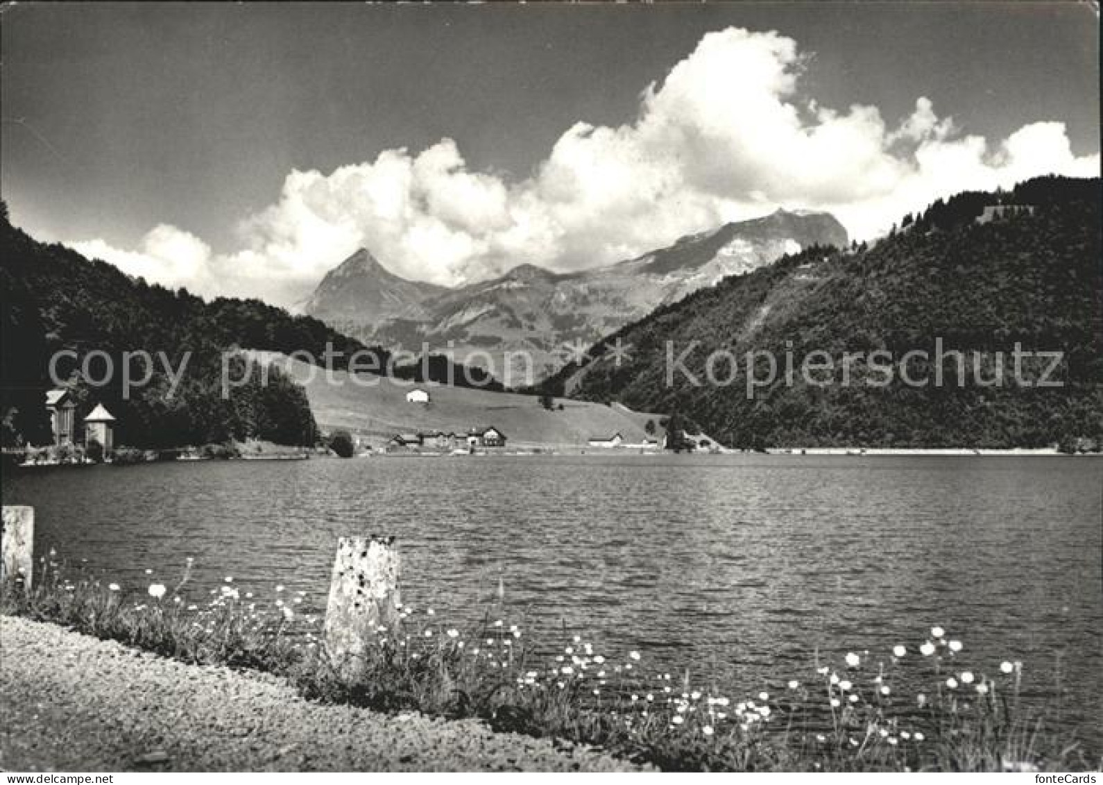 11631452 Glarus GL Uferpartie Am Kloentalersee Alpenpanorama Glarus - Autres & Non Classés