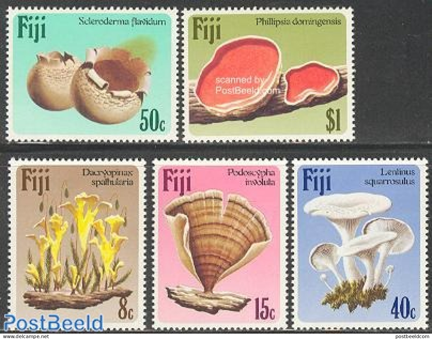 Fiji 1984 Mushrooms 5v, Mint NH, Nature - Mushrooms - Paddestoelen