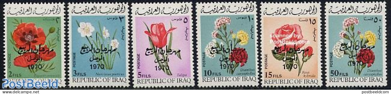 Iraq 1970 Spring Festival, Flowers 6v, Mint NH, Nature - Flowers & Plants - Roses - Iraq