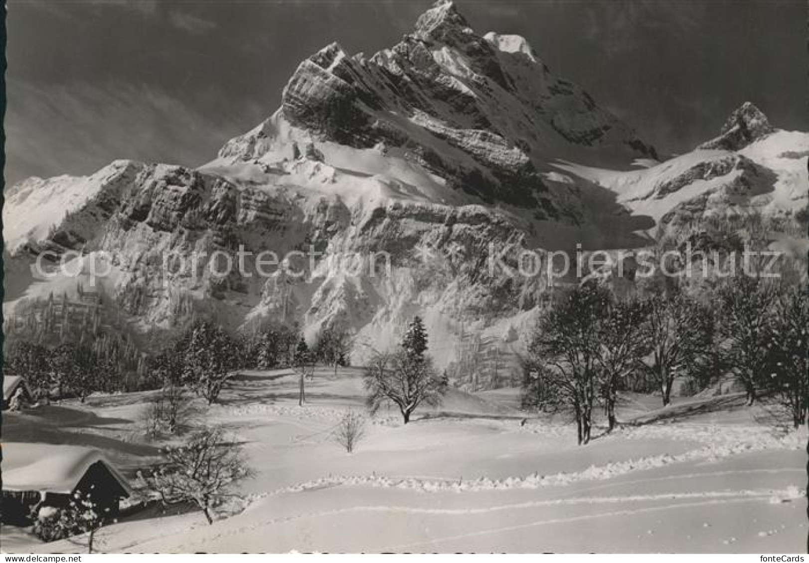 11631421 Braunwald GL Winterimpressionen Ortstock Hoher Turm Glarner Alpen Braun - Altri & Non Classificati