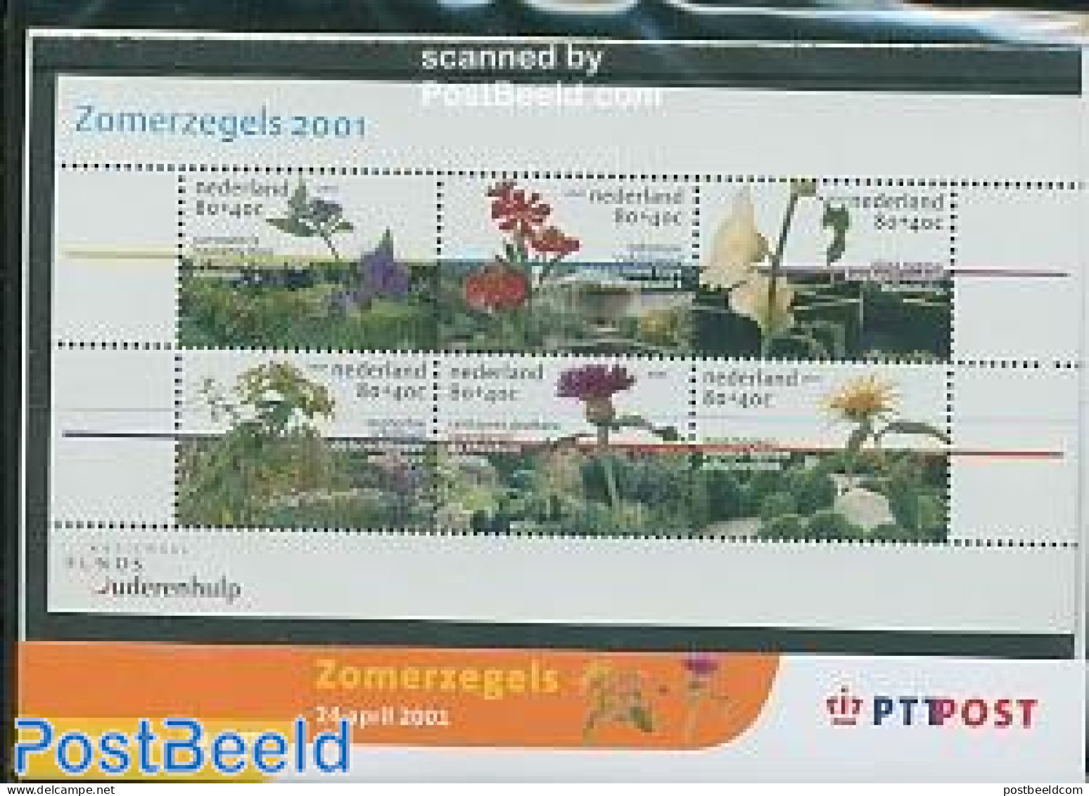Netherlands 2001 Flowers, Presentation Pack 245, Mint NH, Nature - Flowers & Plants - Unused Stamps