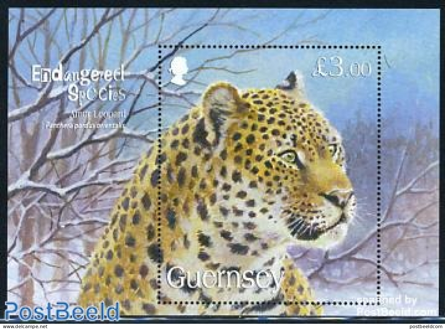 Guernsey 2009 Endangered Species, Leopard S/s, Mint NH, Nature - Animals (others & Mixed) - Cat Family - Guernsey