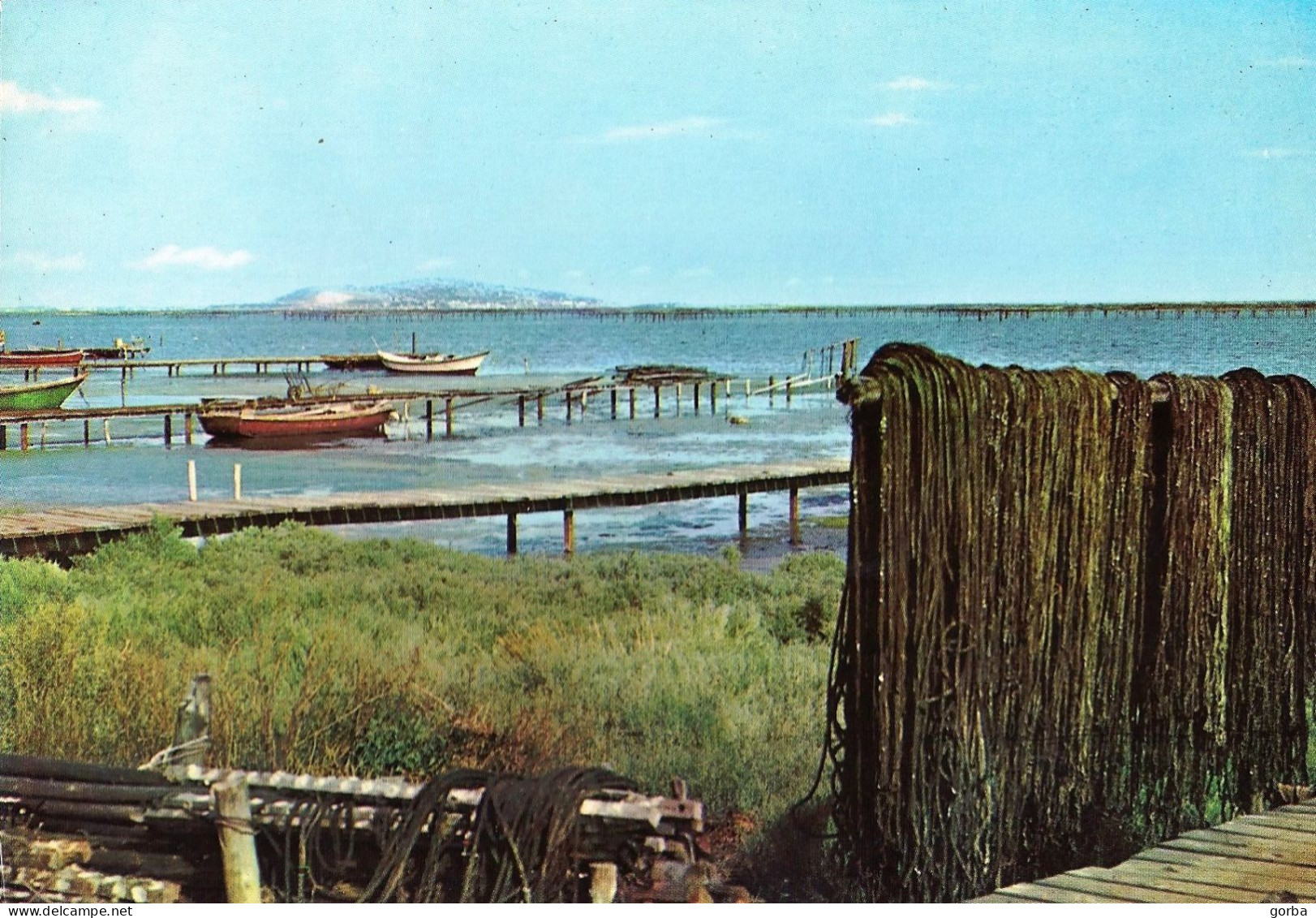 *CPM  - 34 - MARSEILLAN-PLAGE - L'étang De Thau Au Fond Le Mont Saint Clair - Marseillan