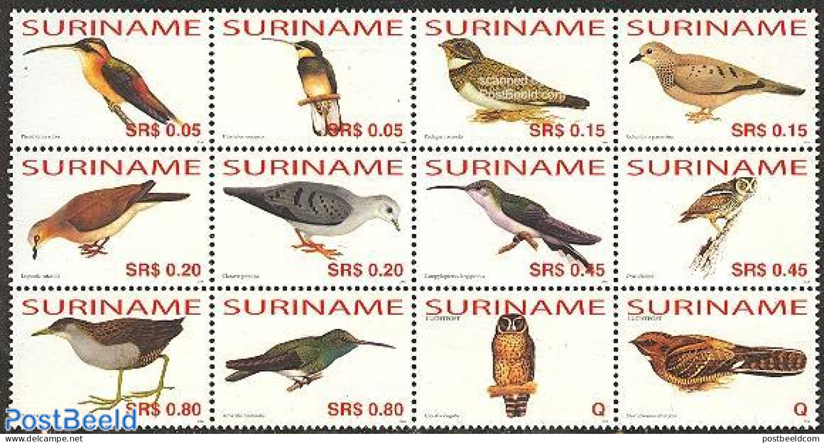 Suriname, Republic 2006 Birds 12v Sheetlet, Mint NH, Nature - Birds - Owls - Surinam
