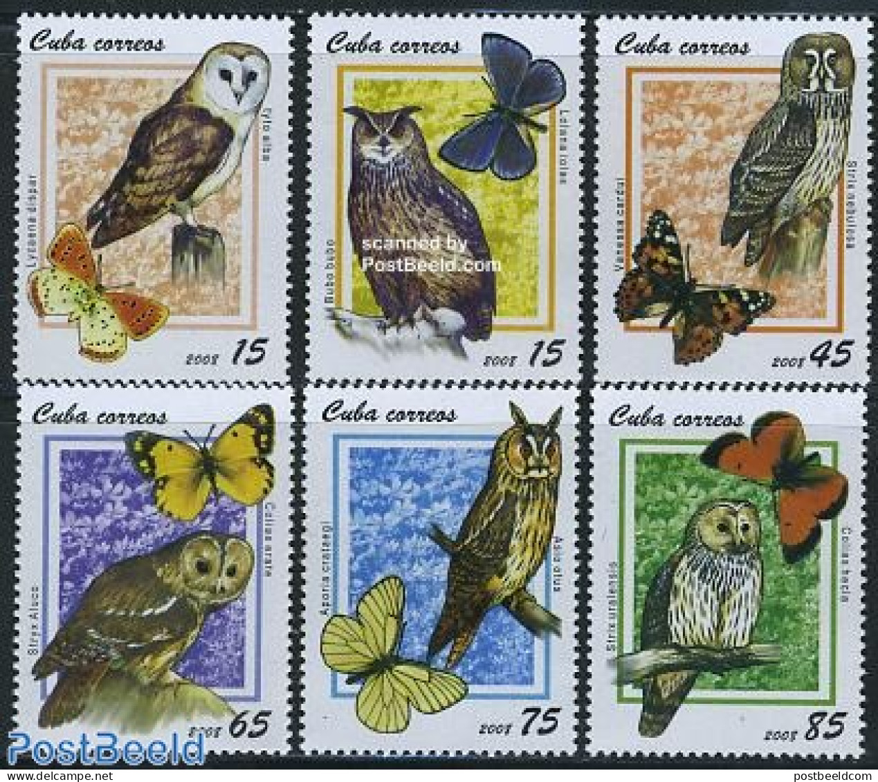 Cuba 2008 Owls & Butterflies 6v, Mint NH, Nature - Birds - Birds Of Prey - Butterflies - Owls - Unused Stamps