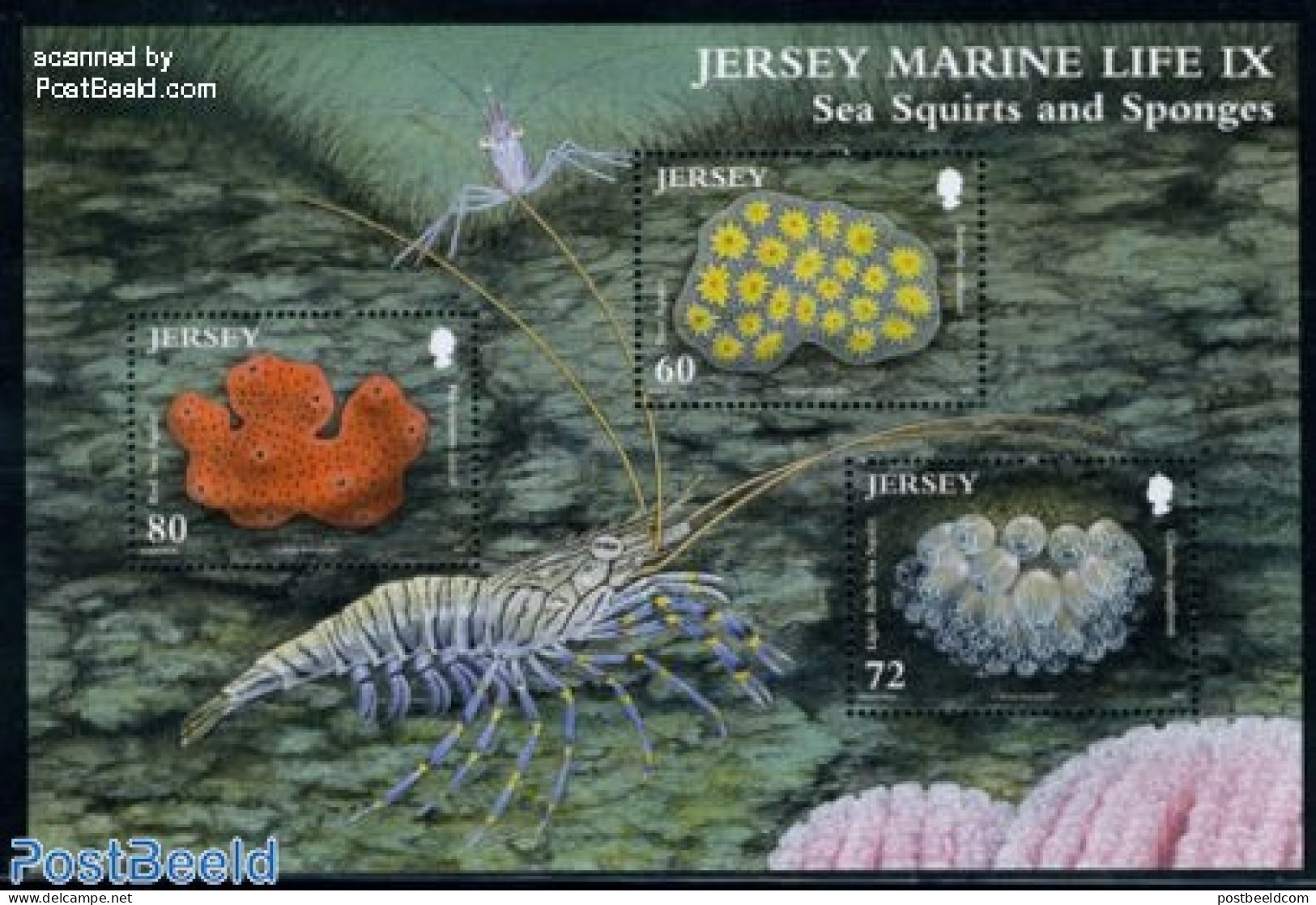 Jersey 2011 Marine Life, Sea Squirts And Sponges S/s, Mint NH, Nature - Shells & Crustaceans - Crabs And Lobsters - Vie Marine