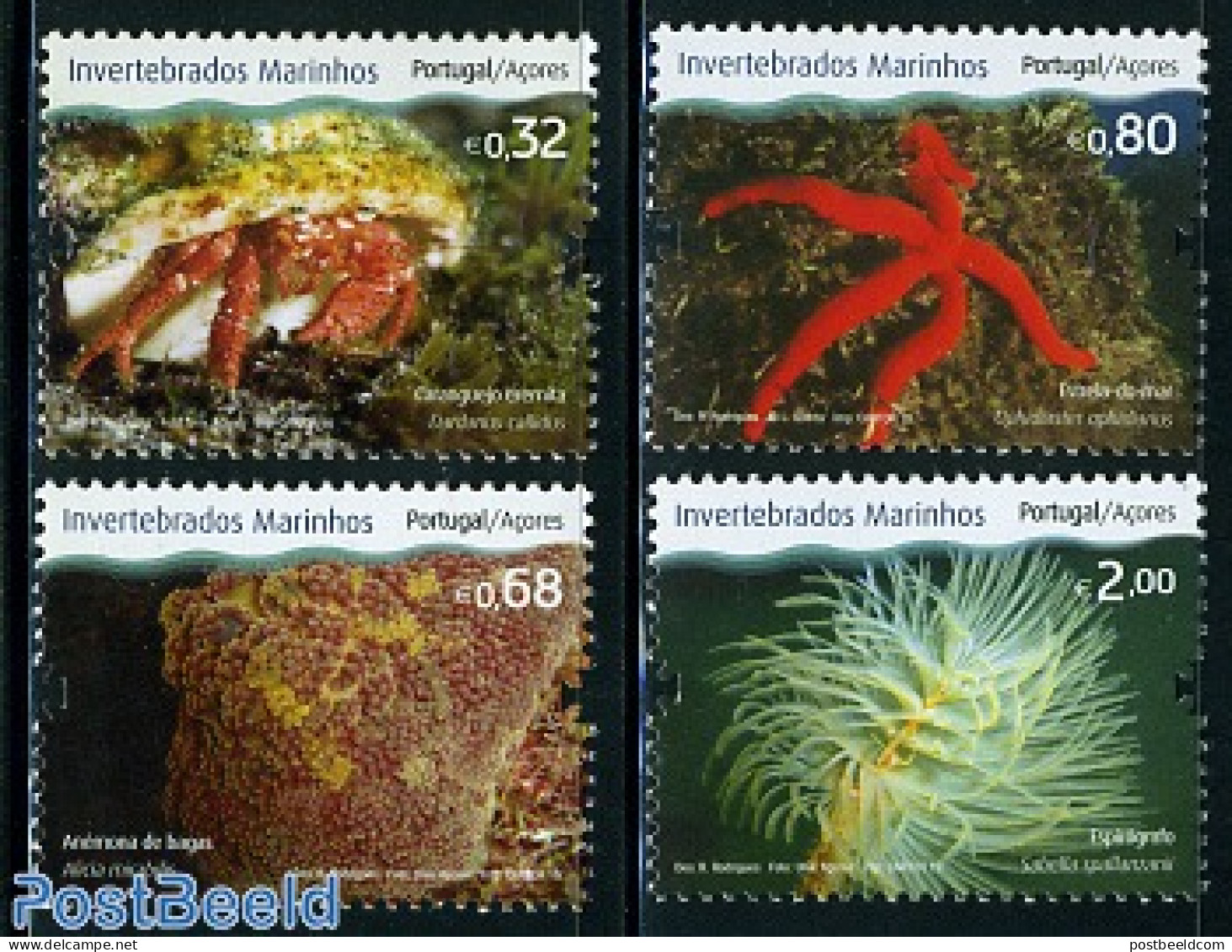 Azores 2010 Marine Life 4v, Mint NH, Nature - Shells & Crustaceans - Vie Marine