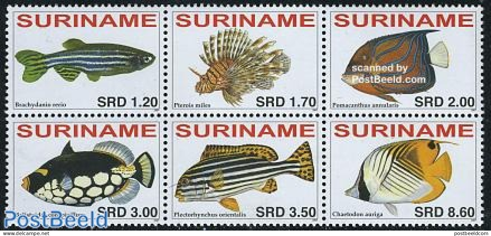 Suriname, Republic 2007 Fish 6v [++], Mint NH, Nature - Fish - Fische