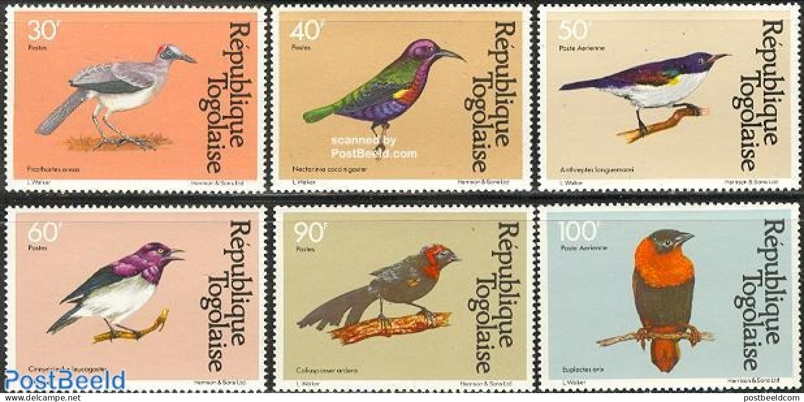 Togo 1981 Birds 6v, Mint NH, Nature - Birds - Togo (1960-...)