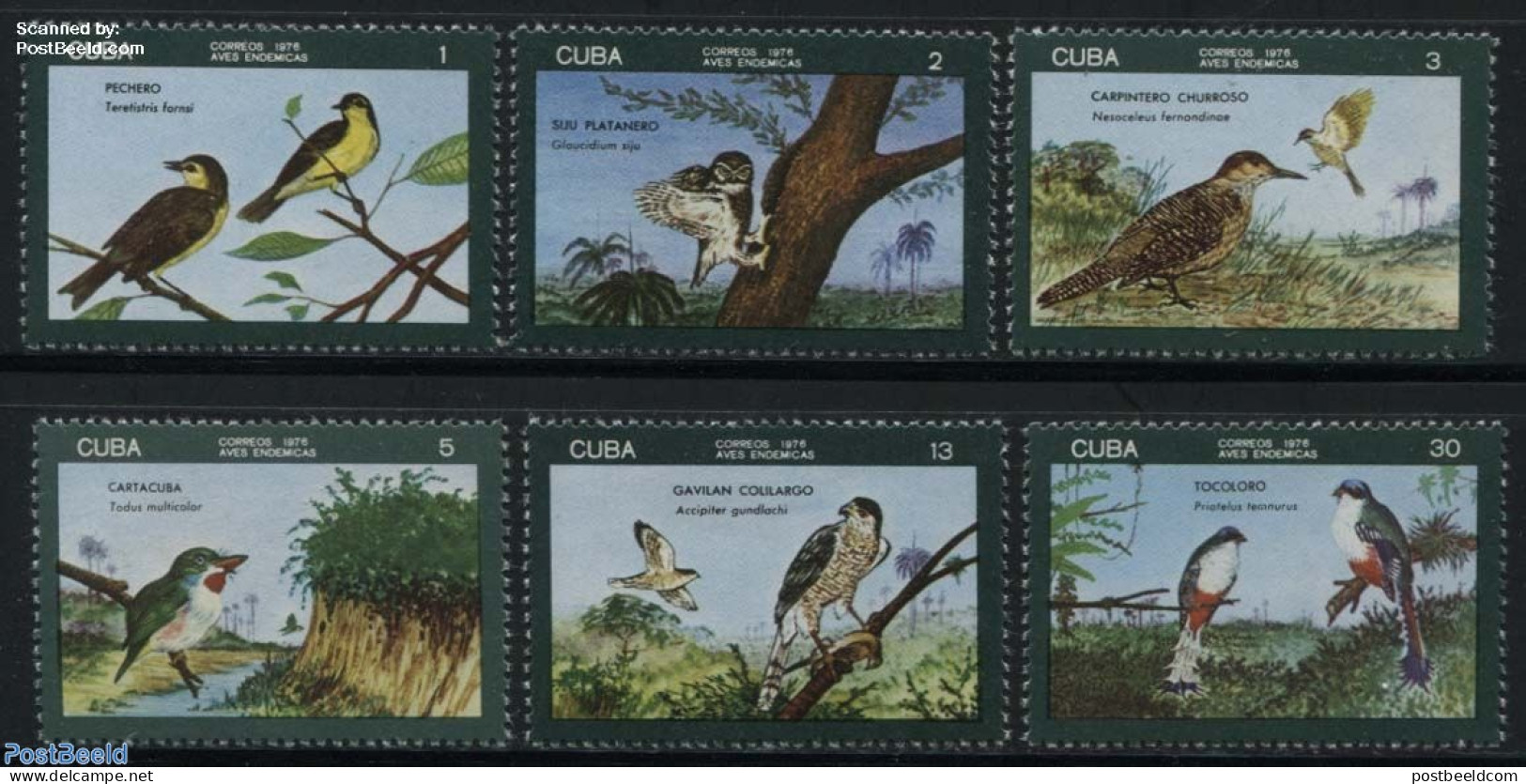 Cuba 1976 Birds 6v, Mint NH, Nature - Birds - Owls - Kingfishers - Unused Stamps