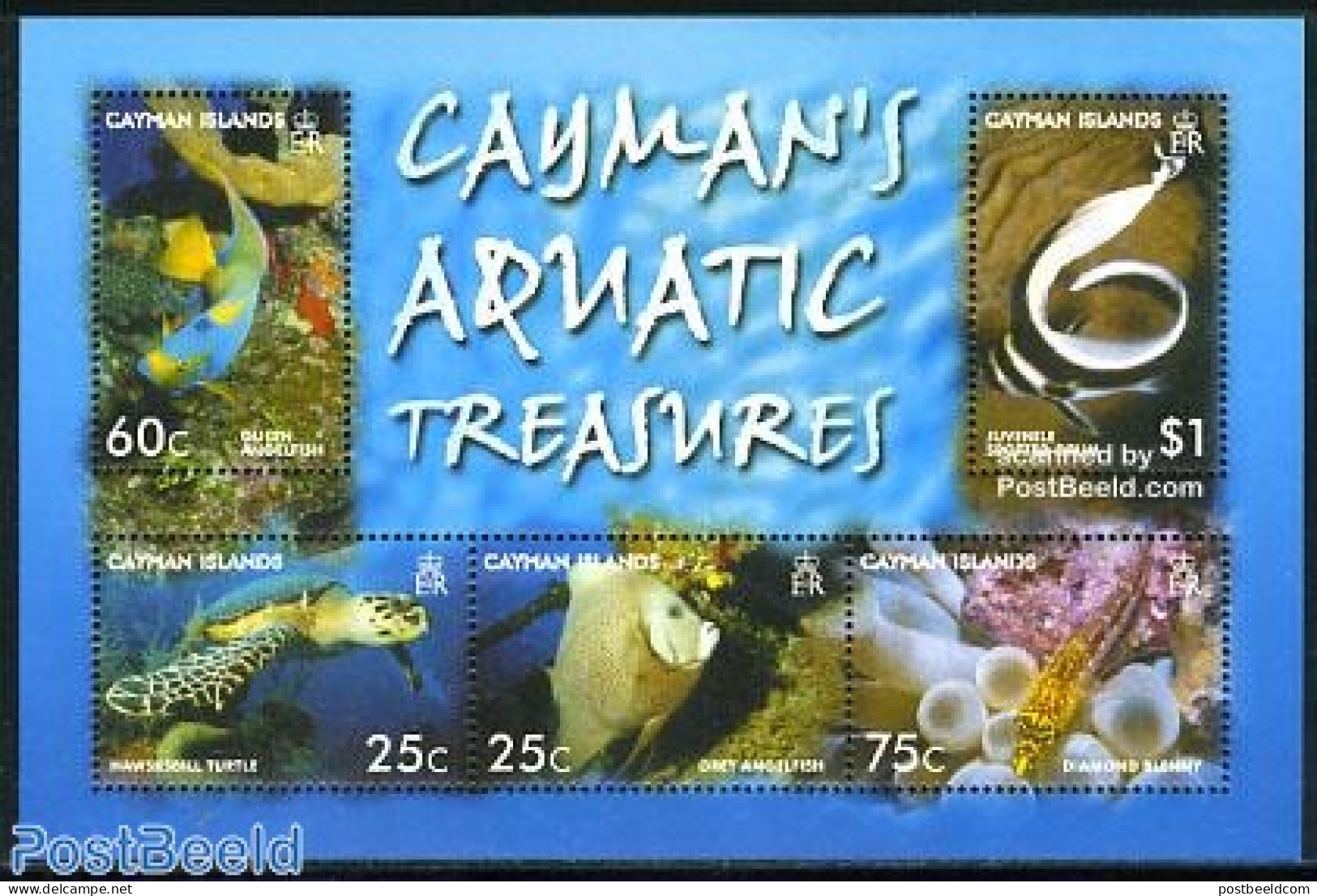 Cayman Islands 2006 Aquatic Treasures 5v M/s, Mint NH - Iles Caïmans