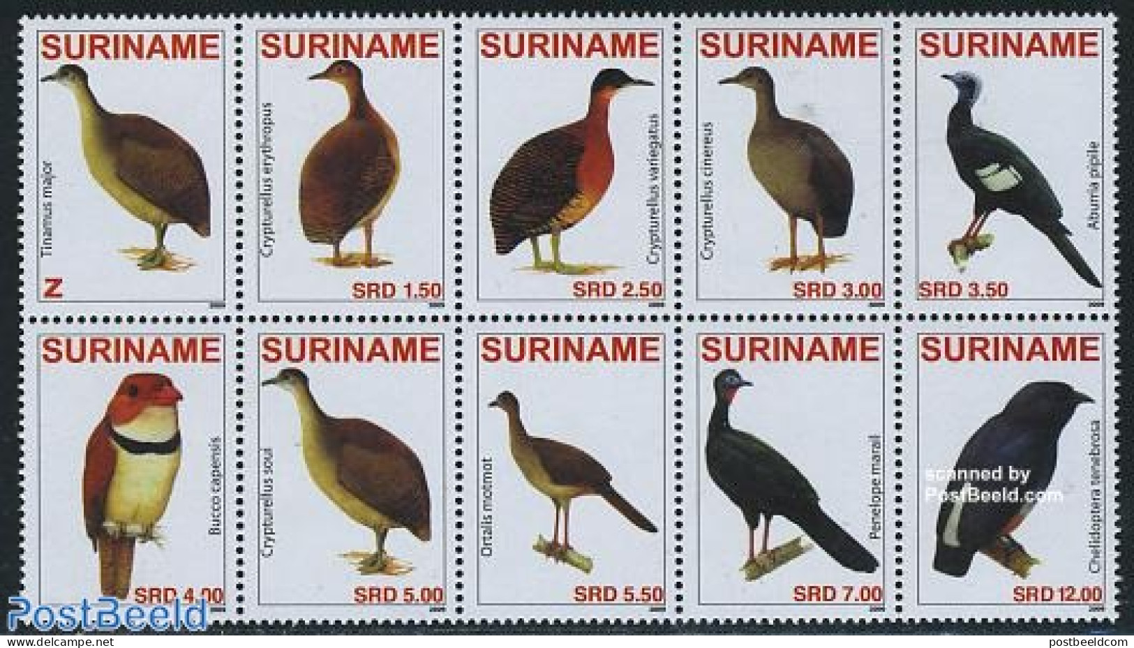 Suriname, Republic 2009 Birds 10v [++++], Mint NH, Nature - Birds - Suriname