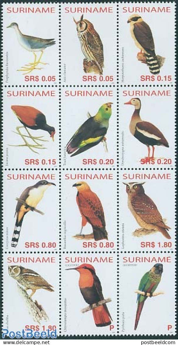 Suriname, Republic 2005 Birds 12v, Sheetlet, Mint NH, Nature - Birds - Birds Of Prey - Owls - Parrots - Suriname