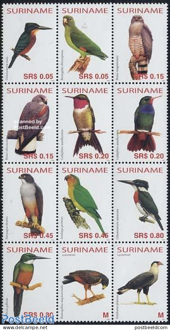 Suriname, Republic 2004 Birds 12v, Sheetlet, Mint NH, Nature - Birds - Birds Of Prey - Parrots - Surinam
