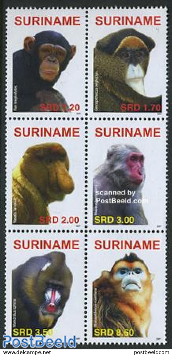 Suriname, Republic 2007 Monkeys 6v [++], Mint NH, Nature - Animals (others & Mixed) - Monkeys - Suriname
