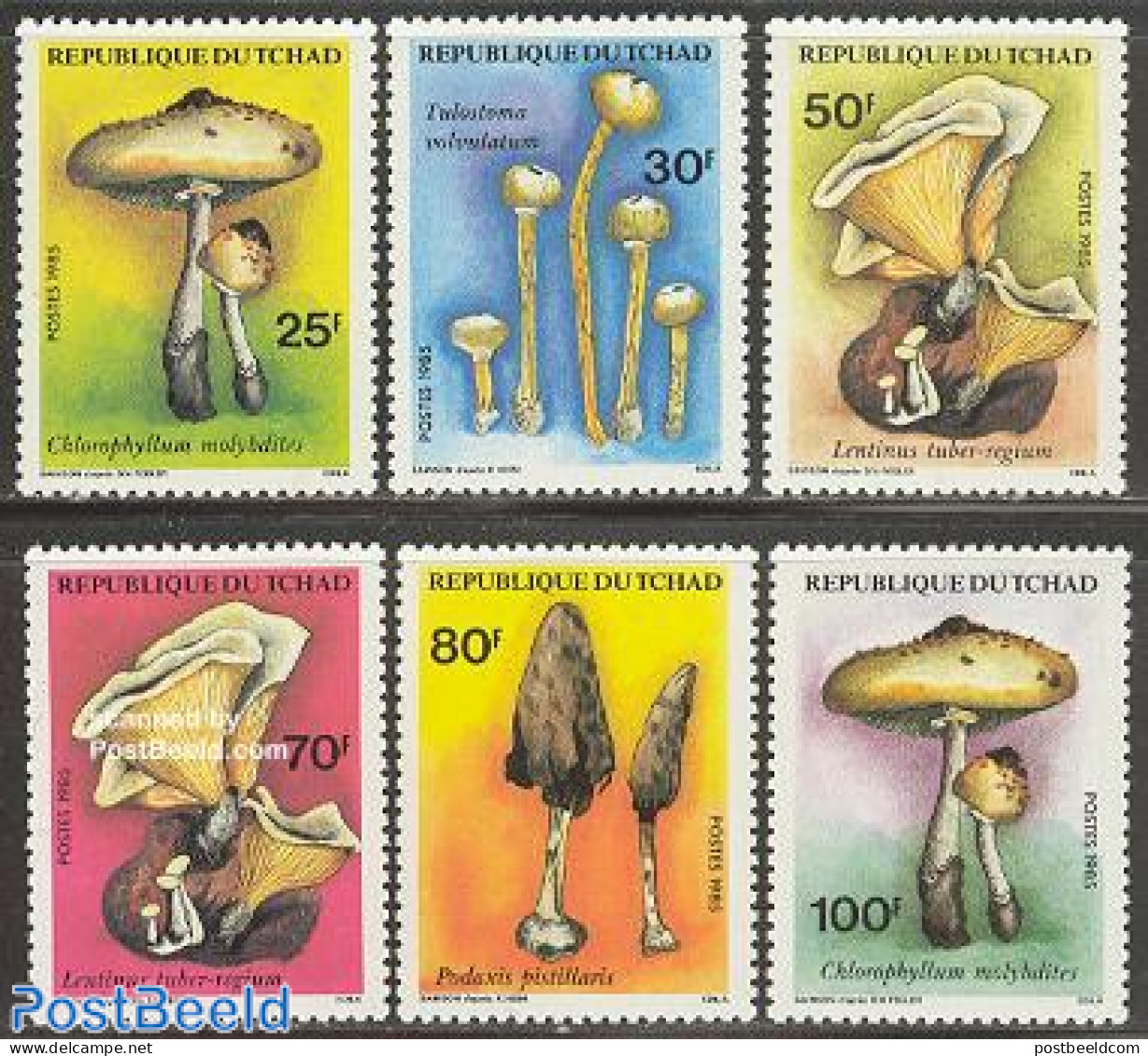 Chad 1985 Mushrooms 6v, Mint NH, Nature - Mushrooms - Autres & Non Classés
