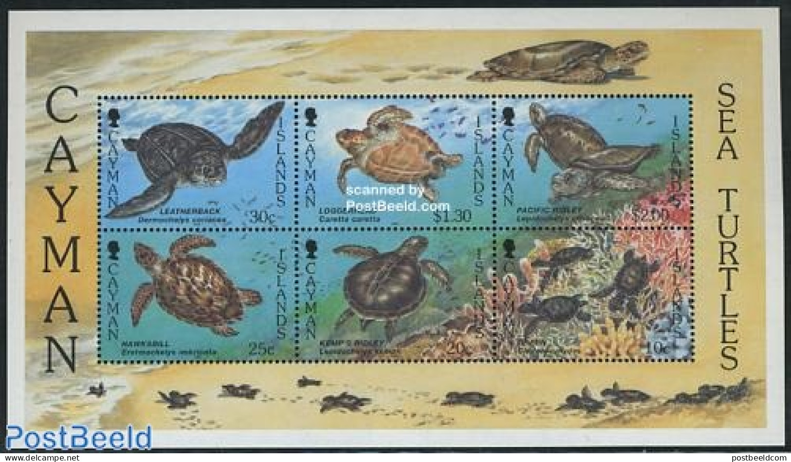 Cayman Islands 1995 Turtles S/s, Mint NH, Nature - Reptiles - Turtles - Iles Caïmans
