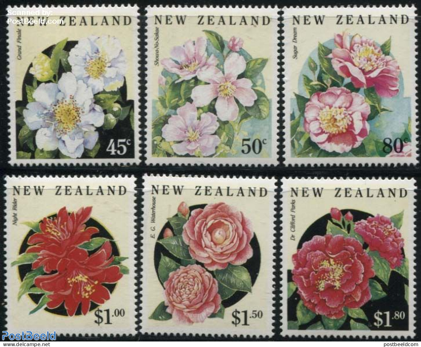 New Zealand 1992 Camelias 6v, Mint NH, Nature - Flowers & Plants - Nuevos
