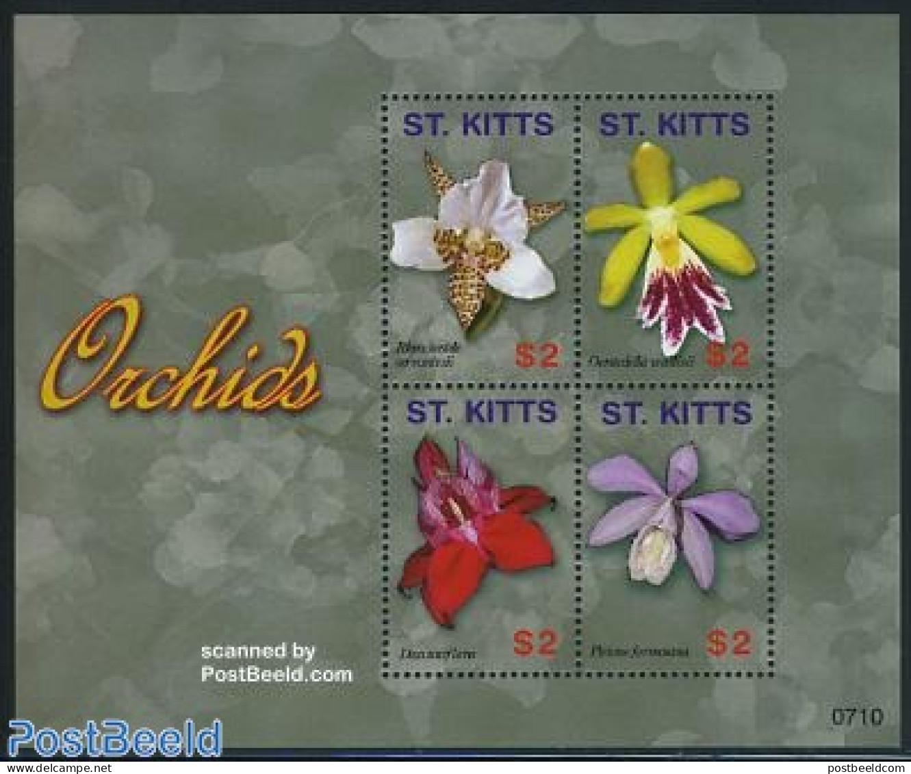 Saint Kitts/Nevis 2007 Orchids 4v M/s, Mint NH, Nature - Flowers & Plants - Orchids - Other & Unclassified