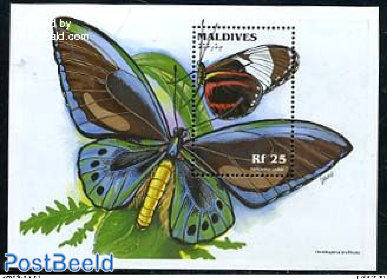 Maldives 1996 Butterflies, Heliconius Cydno S/s, Mint NH, Nature - Butterflies - Maldives (1965-...)