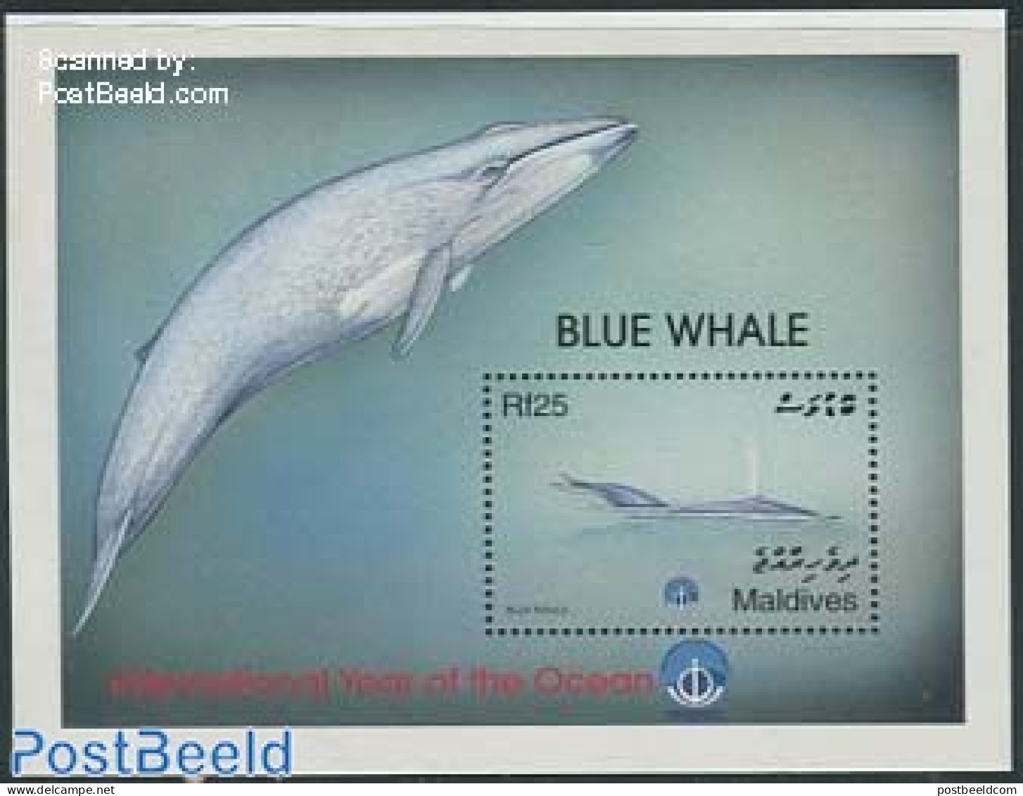 Maldives 1999 Ocean Year, Blue Whale S/s, Mint NH, Nature - Sea Mammals - Maldives (1965-...)