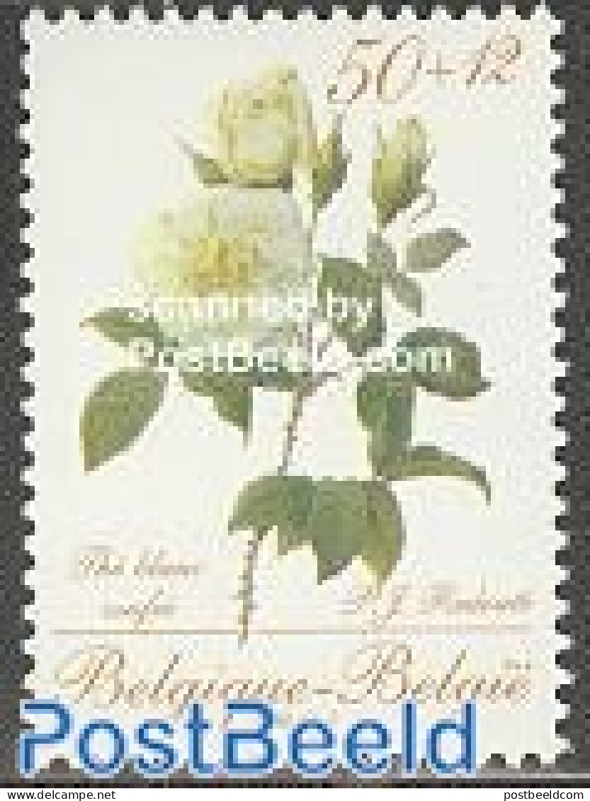 Belgium 1988 Roses 1v (from S/s), Mint NH, Nature - Flowers & Plants - Roses - Neufs