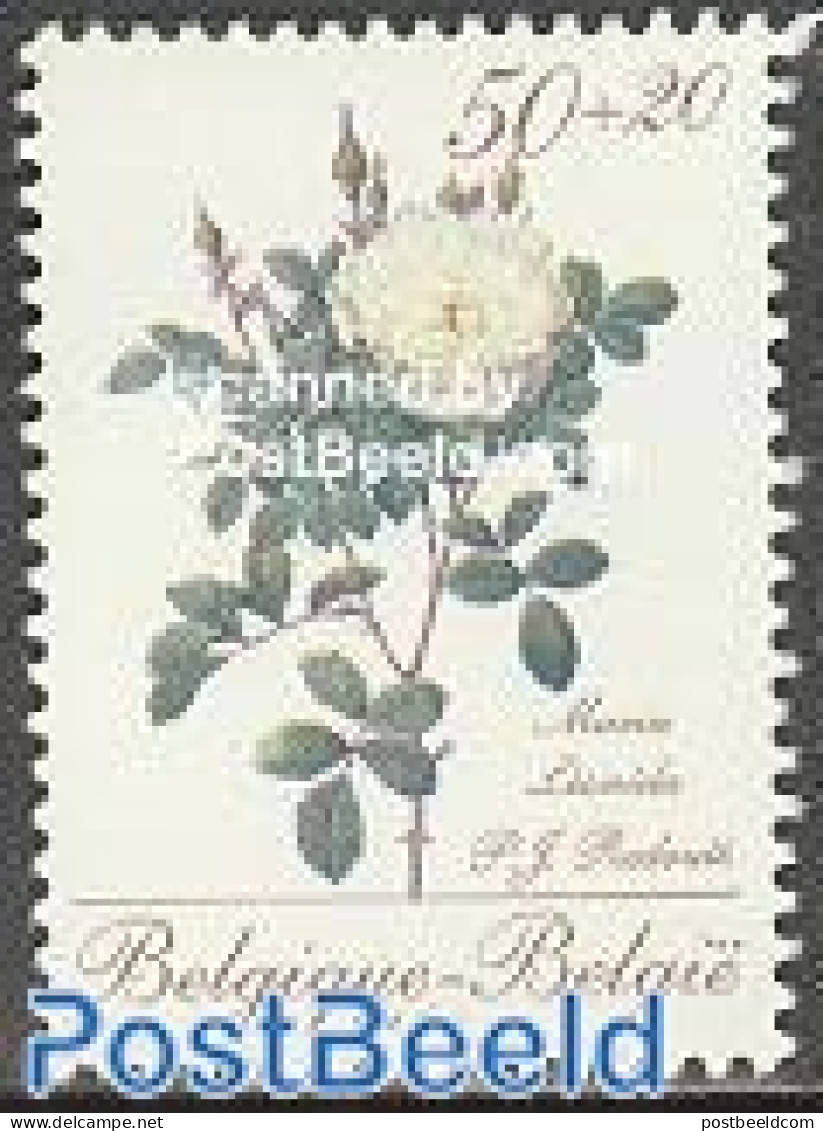 Belgium 1990 Roses 1v (from S/s), Mint NH, Nature - Flowers & Plants - Roses - Ongebruikt